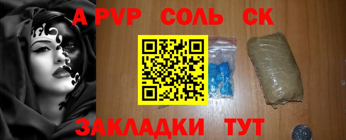 Alfa_PVP СК Сунжа