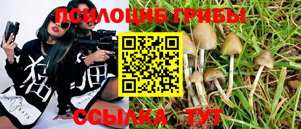 Сунжа  Галлюциногенные грибы прущие грибы  купить   Вход с VPN 